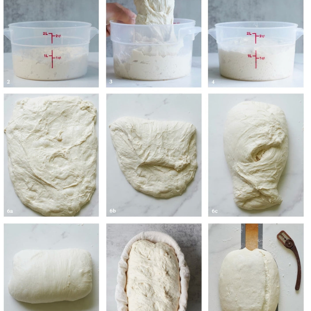 Same Day Sourdough book