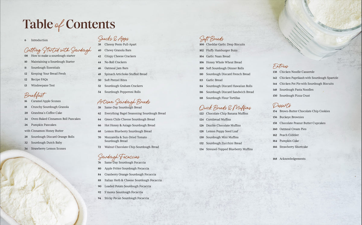 Same Day Sourdough book